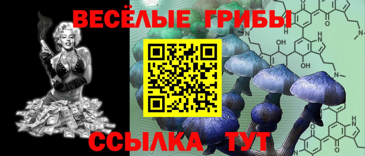 Псилоцибиновые грибы мухоморы Касимов