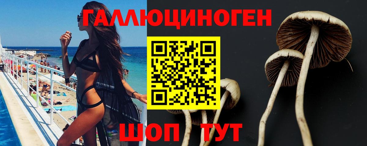 Касимов  Псилоцибиновые грибы Psilocybe  Галлюциногенные грибы GOLDEN TEACHER  Вход с VPN 